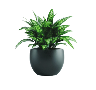 Elegant Flower Pot